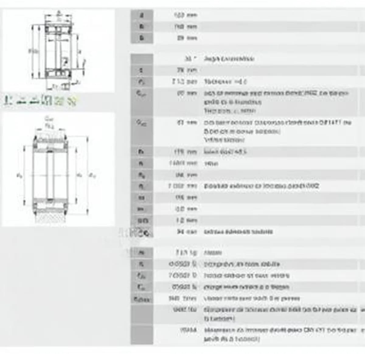INA SL045024PP-INA - Image 1