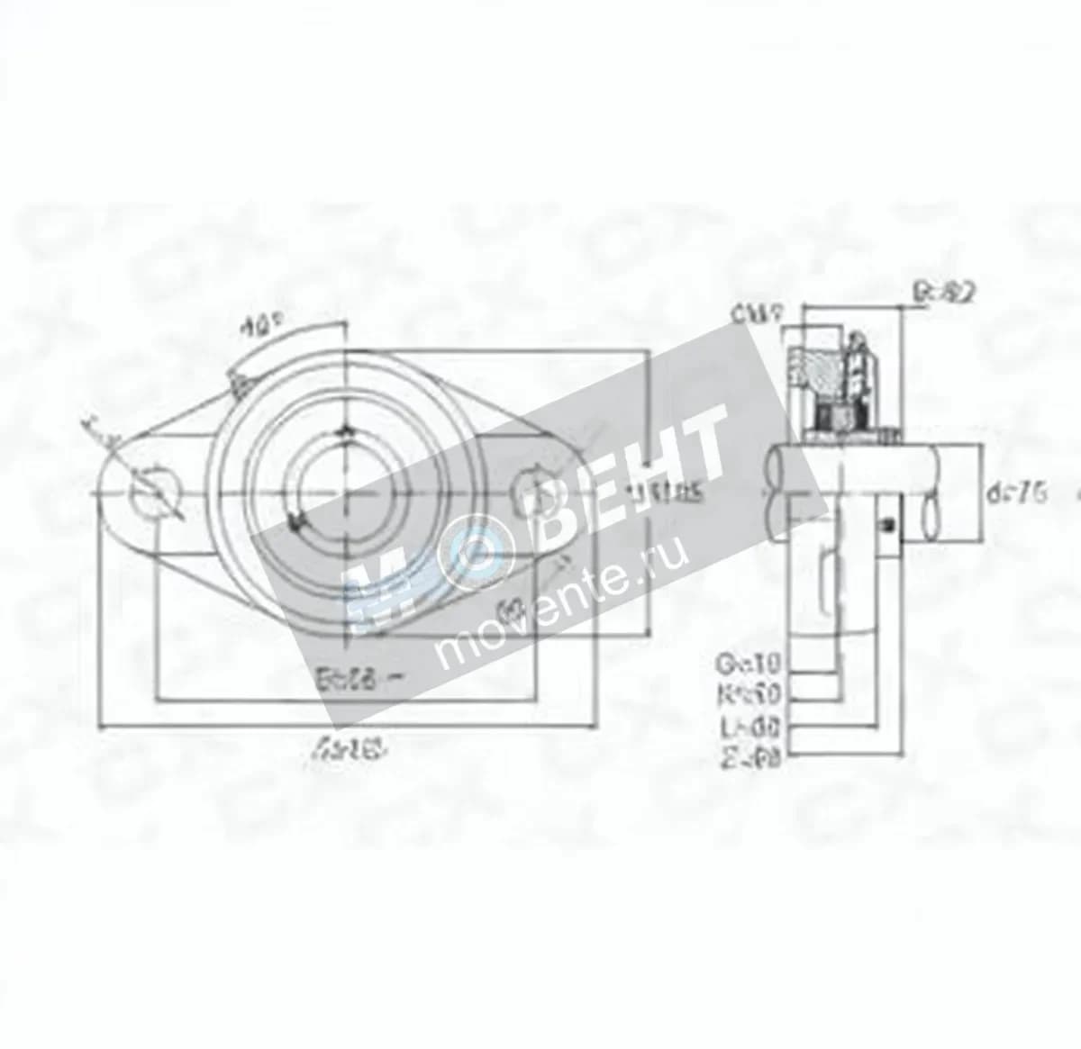 GEN UCFL315 - Image 1
