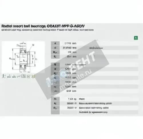 INA GRA207-NPP-B-AS2-V-INA - Image 1