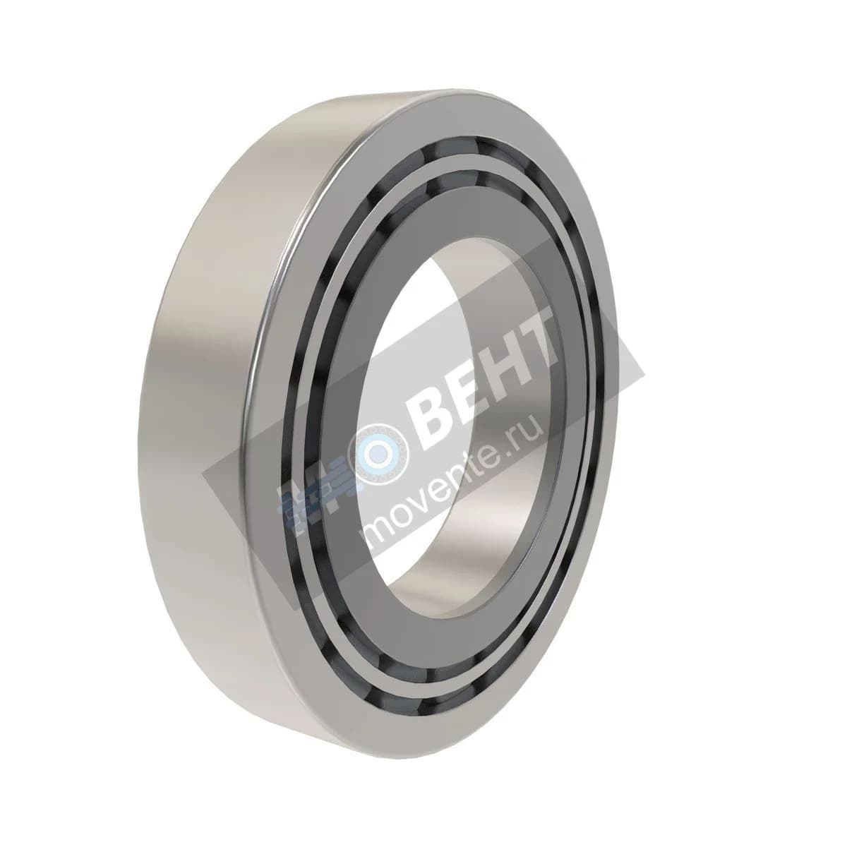 RE49300: Однорядный роликоподшипник