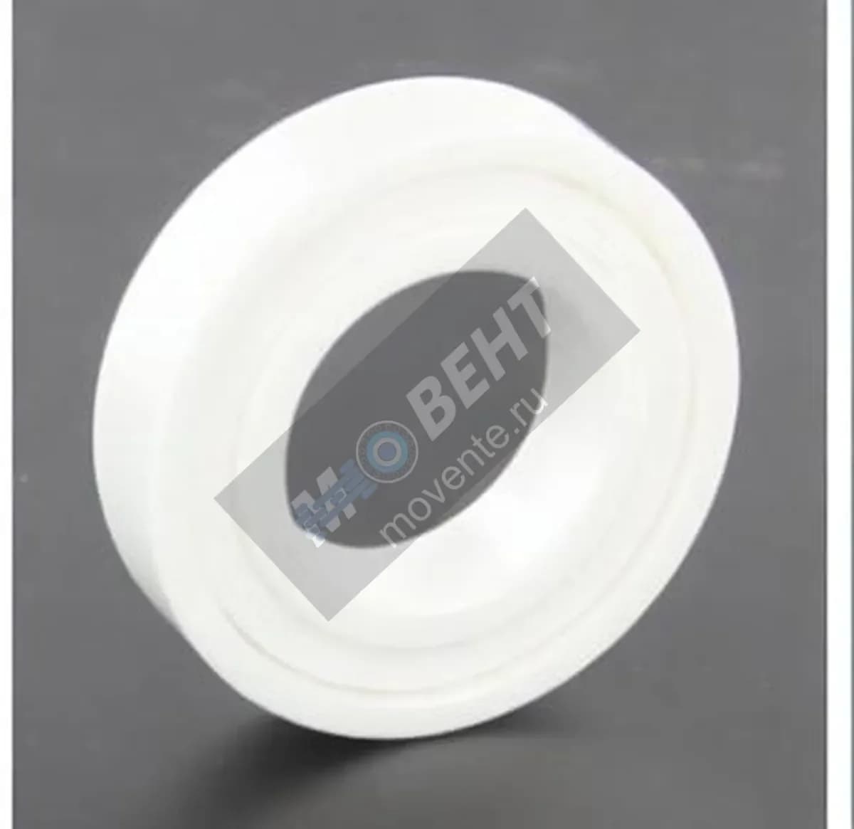GEN 6006-CERA-ZR02-PTFE - Image 1
