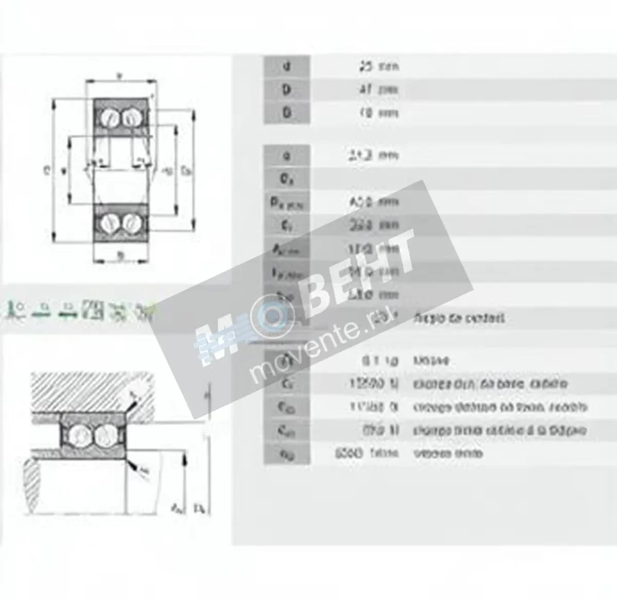 INA 3005-2RS-INA - Image 1