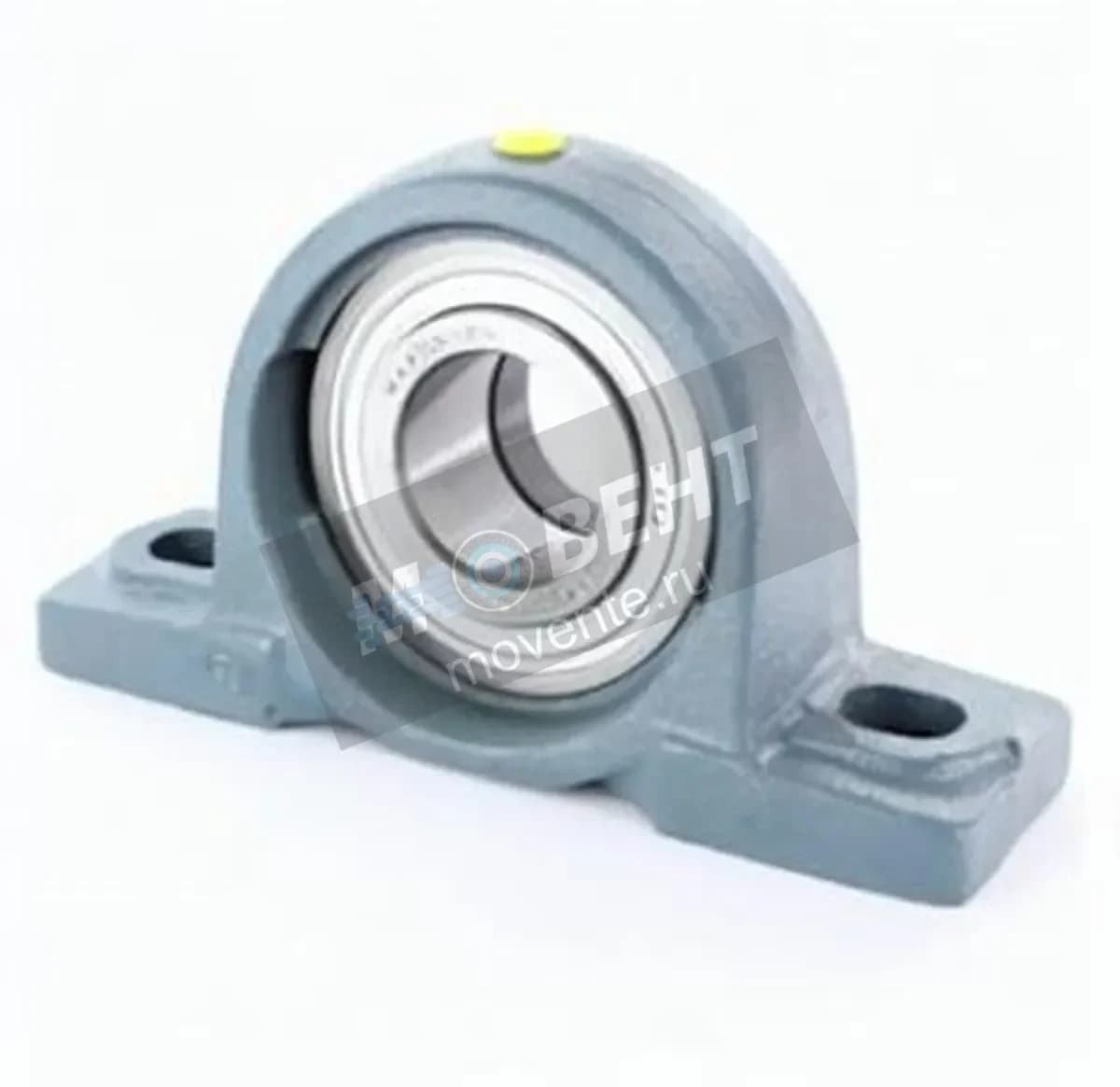 GEN SAP208-24 - Image 1