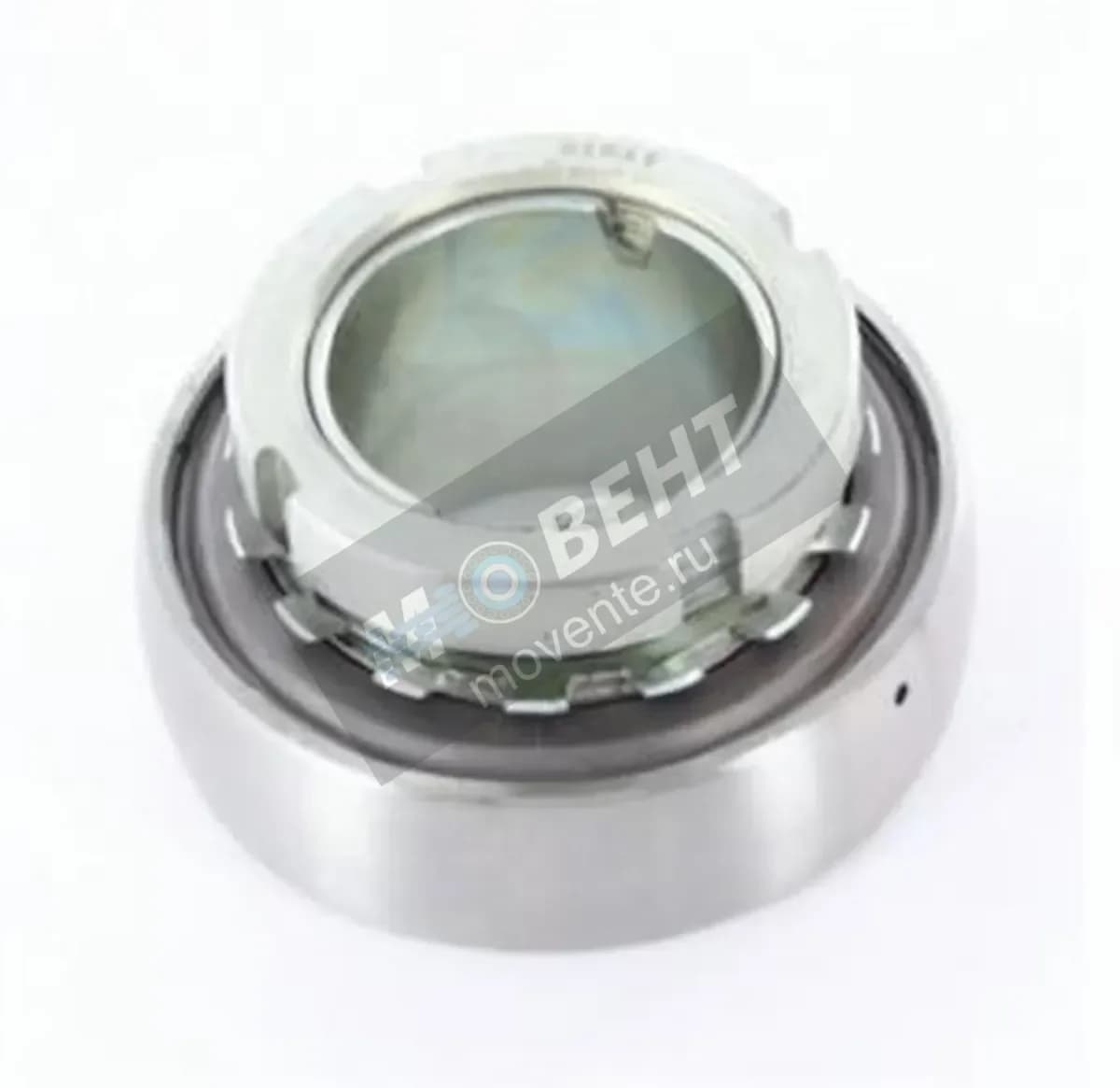 GEN 362008 - Image 1