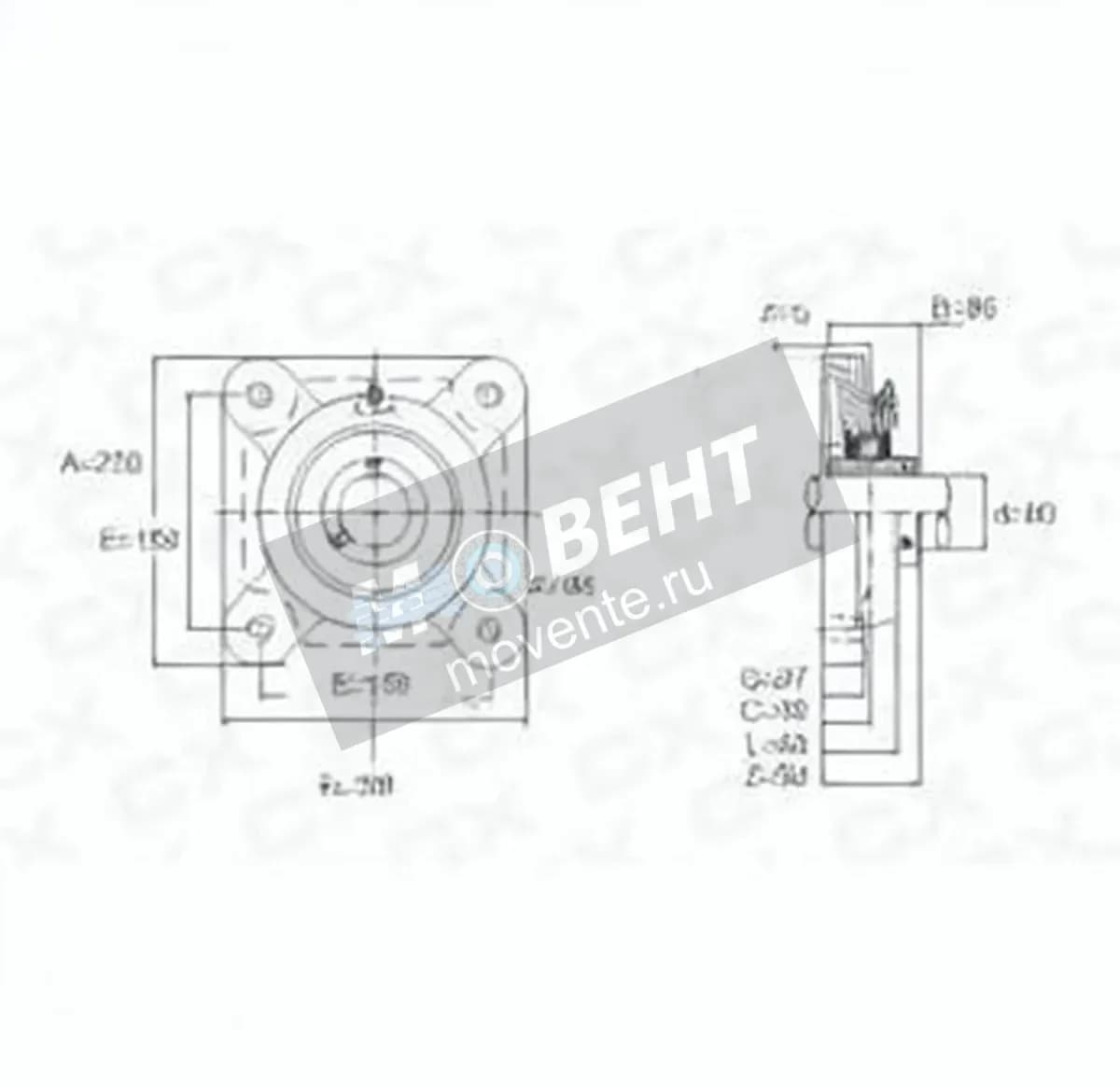 GEN UCF316 - Image 1