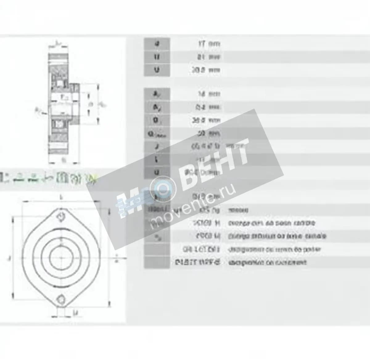 INA FLCTE17-INA - Image 1