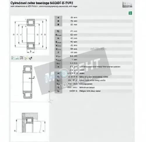 FAG NJ2207-E-TVP2-C4-FAG - Image 1