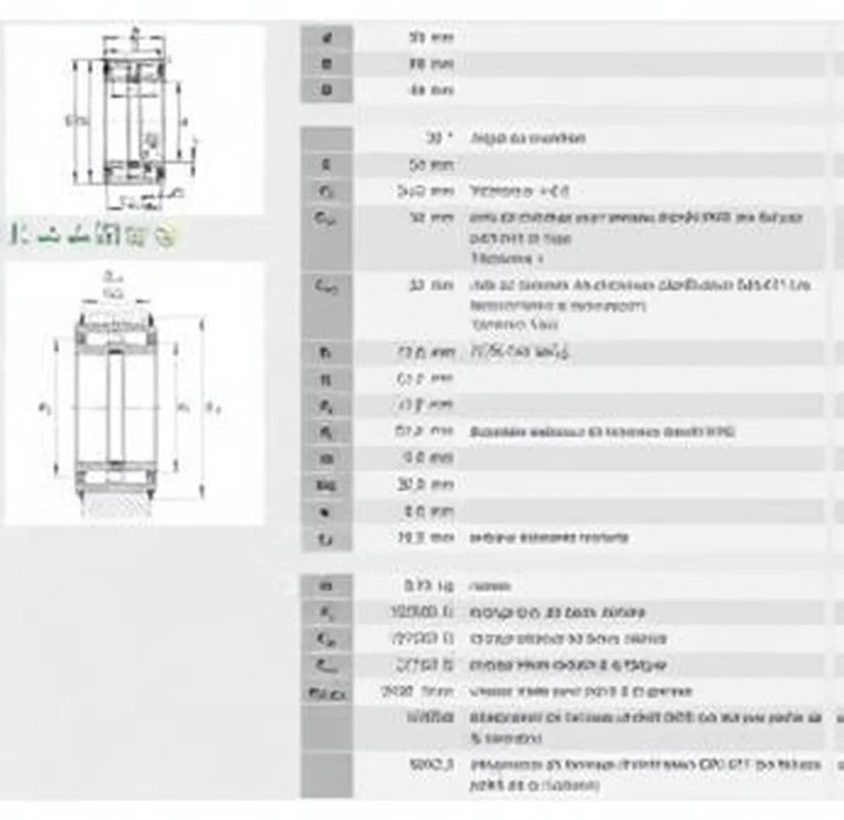 INA SL045010-PP-INA - Image 1