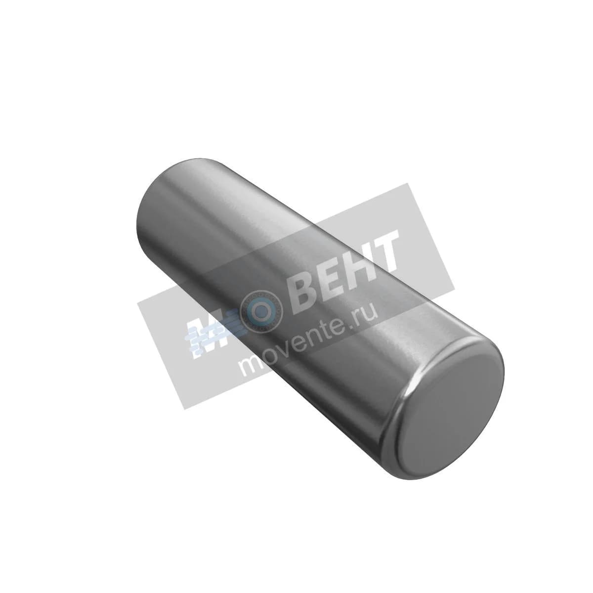 R109082: Игольчатый ролик