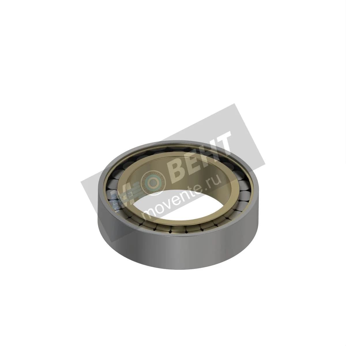 RE255431: Однорядный цилиндрический роликоподшипник