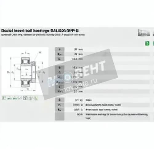 INA RALE20-XL-NPP-B-INA - Image 1
