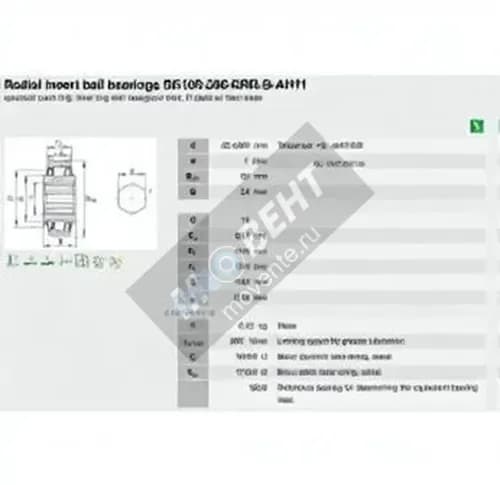 INA SK100-206-KRR-B-AH11-INA - Image 1