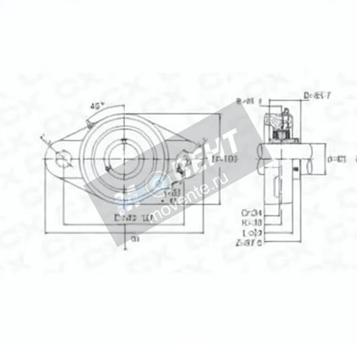 GEN UCFL217 - Image 1