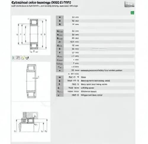 FAG N305-E-TVP2-C3-FAG - Image 1