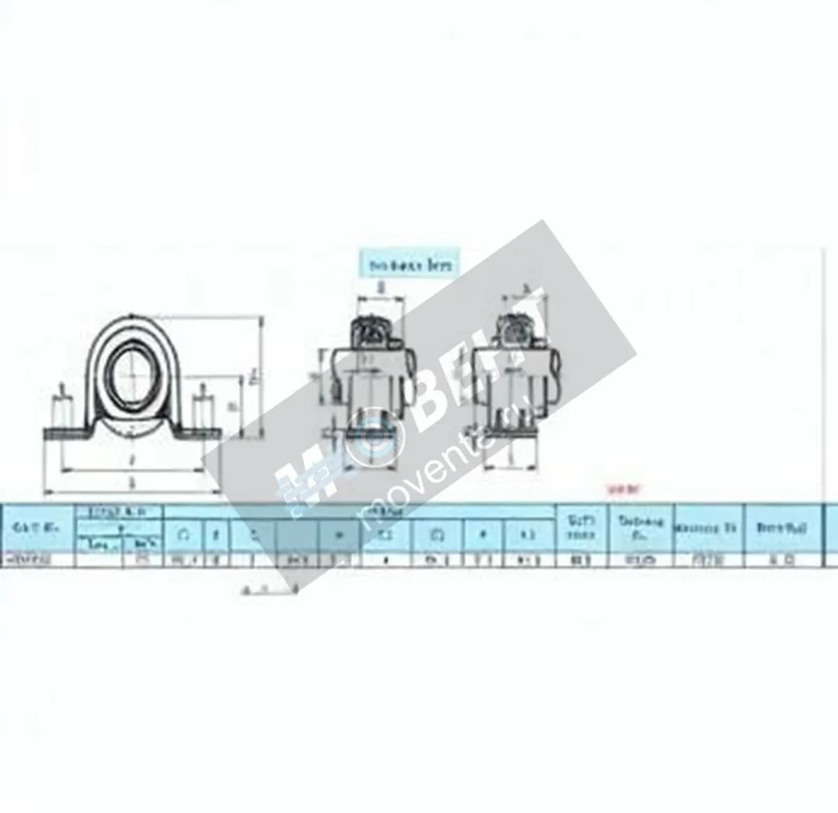 GEN SAPP205 - Image 1