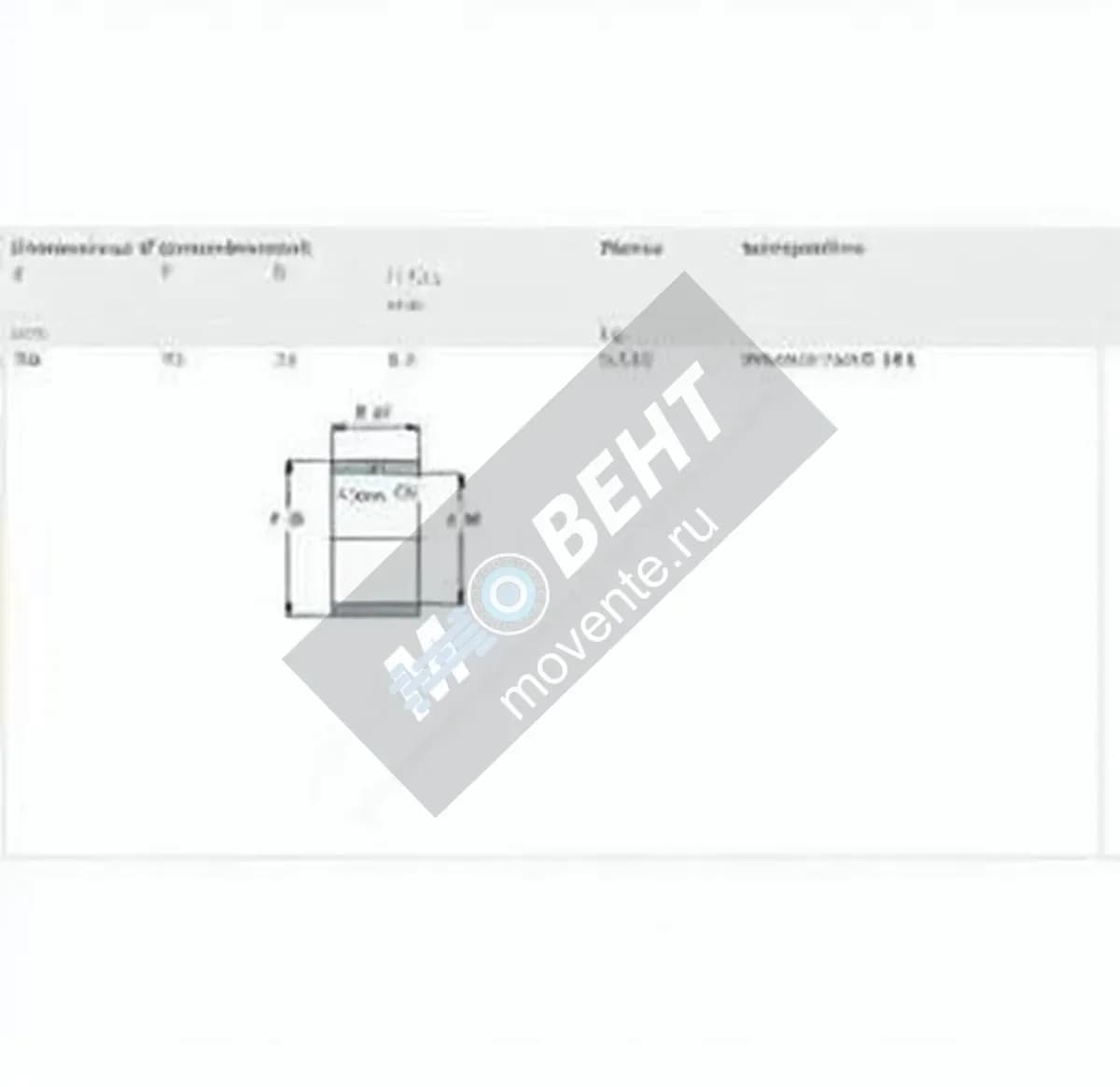 SKF IR50X55X20-IS1-SKF - Image 1
