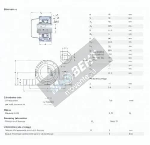SKF P2BC-30M-CPSS-DFH-SKF - Image 1