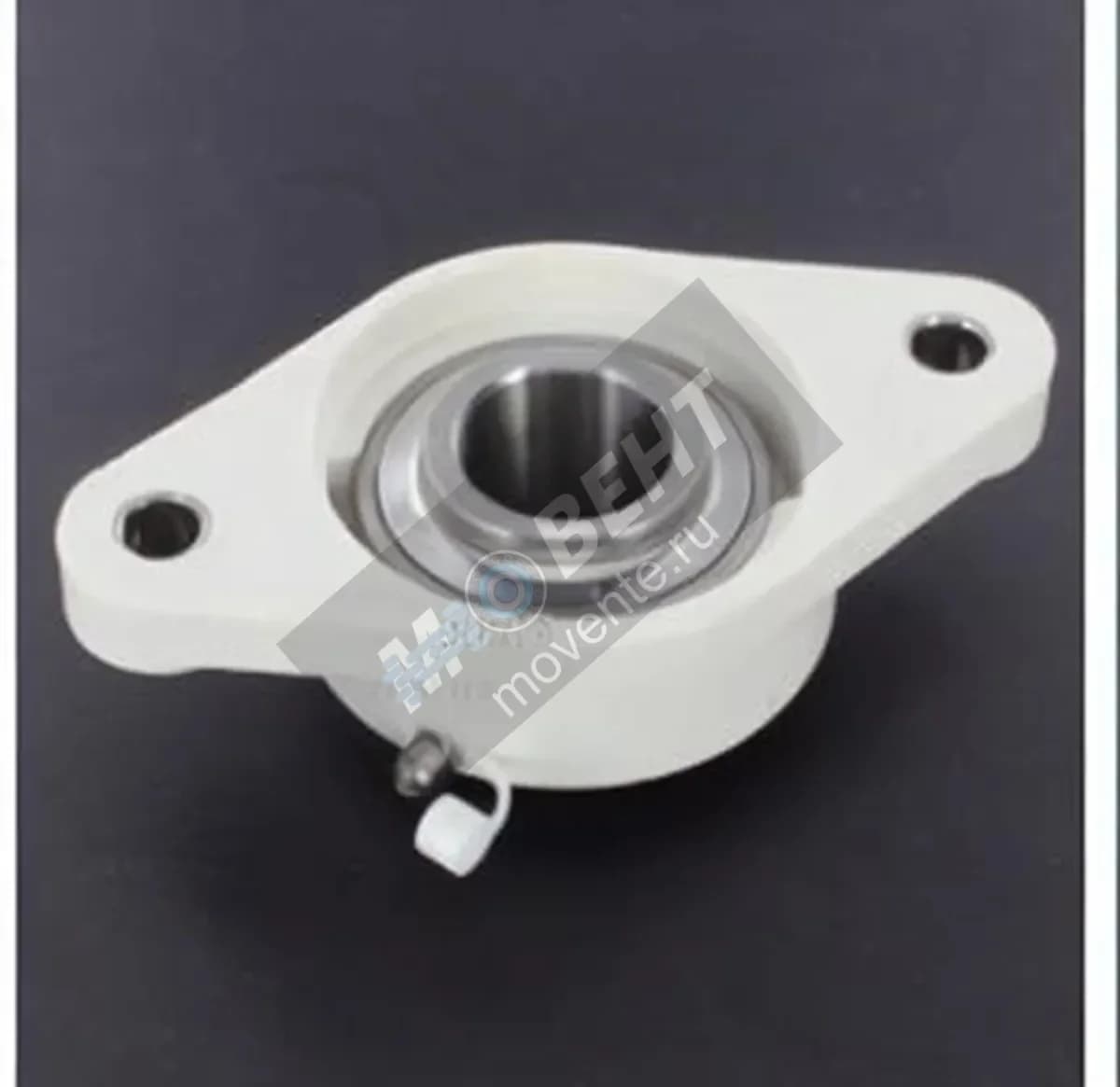 GEN FLPL206-SSUC206-INOX - Image 1